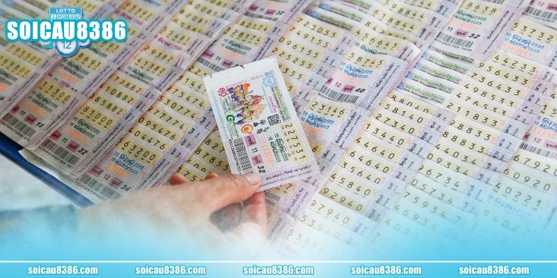 4 lợi ích vượt trội giúp thành viên tối ưu hóa lợi nhuận