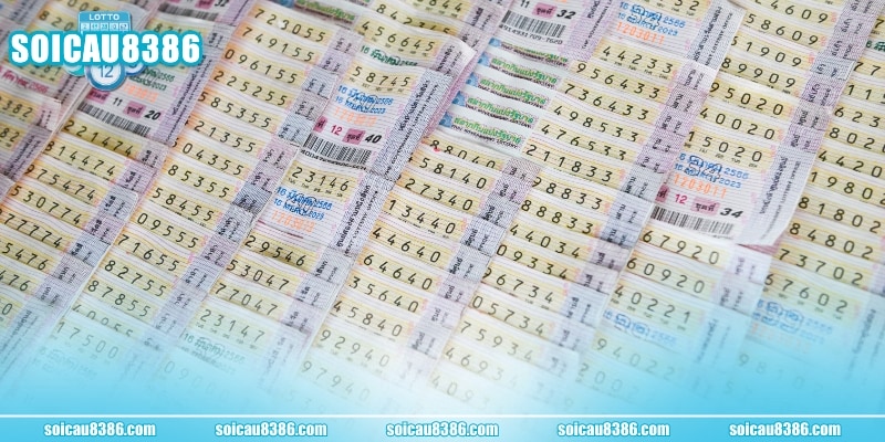 Cách soi cầu lô hình quả trám giúp bạn về bờ siêu tốc