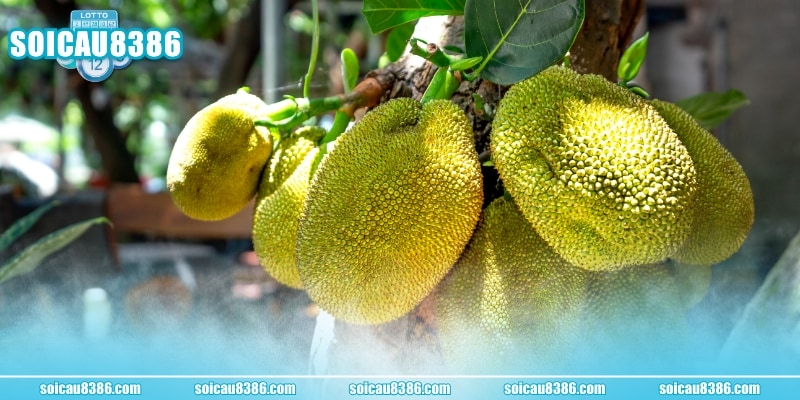 Giấc mộng ăn mít cùng nhiều người chọn cặp 22 - 68