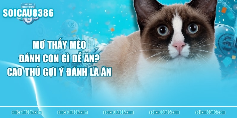 Mơ Thấy Mèo Đánh Con Gì Dễ Ăn? Cao Thủ Gợi Ý Đánh Là Ăn