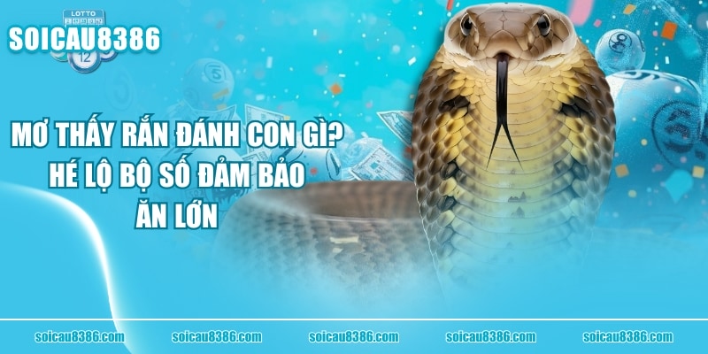 Mơ Thấy Rắn Đánh Con Gì? “Hé Lộ” Bộ Số Đảm Bảo Ăn Lớn