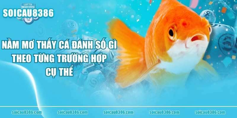 Nằm Mơ Thấy Cá Đánh Số Gì Theo Từng Trường Hợp Cụ Thể
