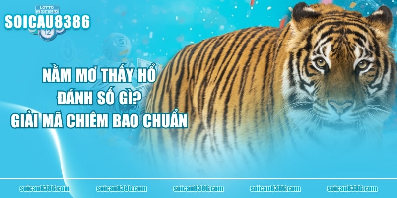Nằm Mơ Thấy Hổ Đánh Số Gì? Giải Mã Chiêm Bao Chuẩn