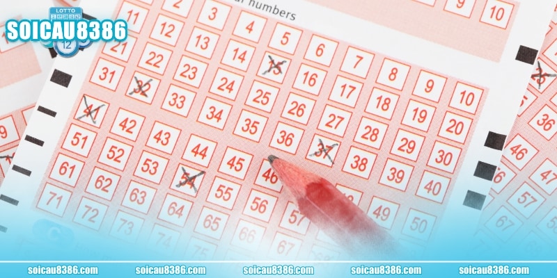 SOI CẦU 8386 cung cấp tiện ích miễn phí và chính xác 100%